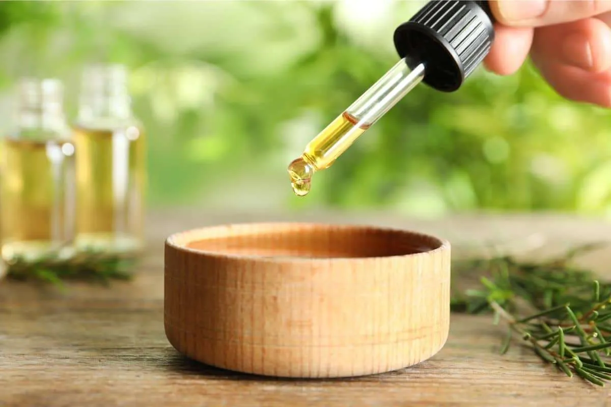 Công dụng của tinh dầu trà xanh