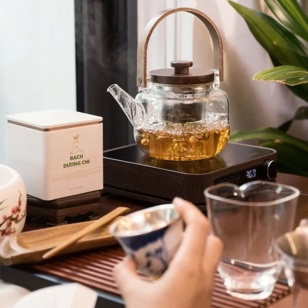 Quà tặng ấm thủy tinh hấp trà