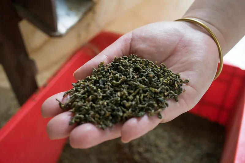 Các loại trà xanh