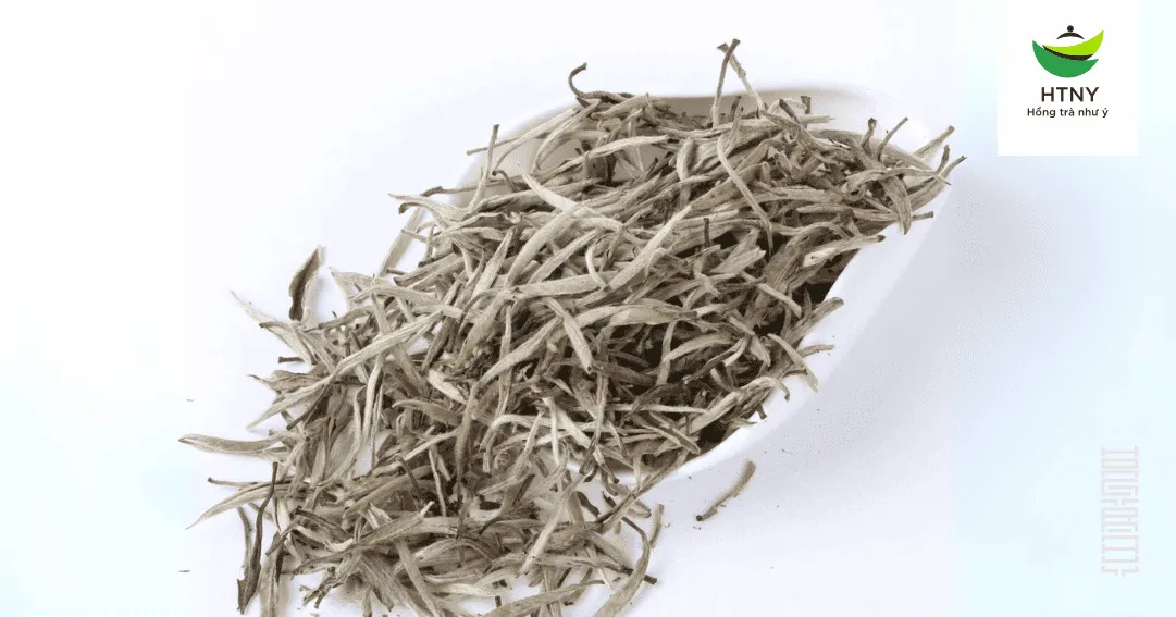 Bạch trà Việt Nam là gì?