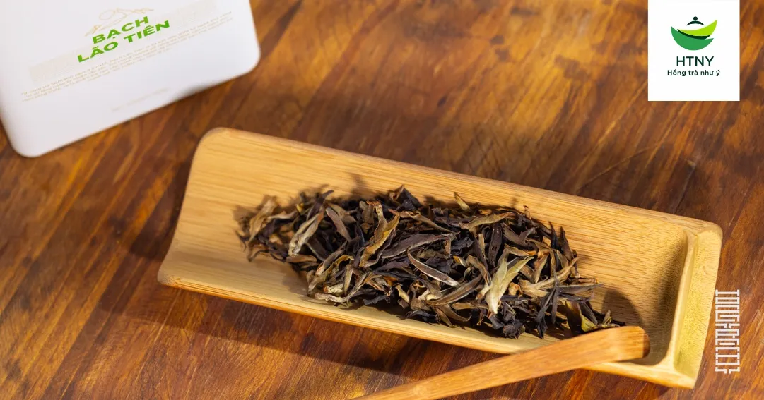 bạch trà cổ
