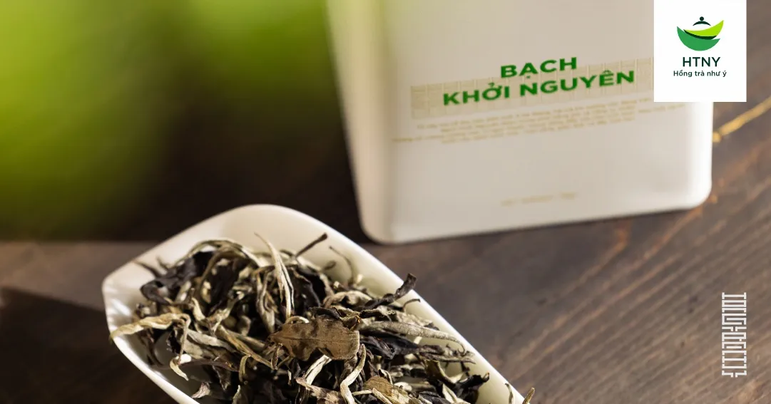 Bạch trà có vị gì