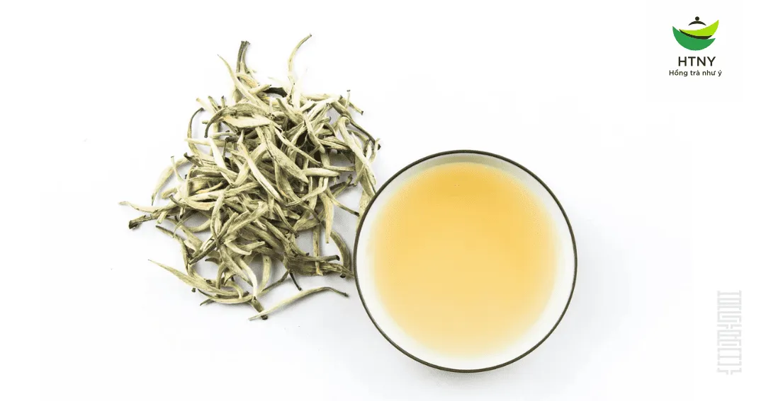Bạch trà là gì và đặc điểm nổi bật