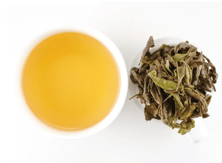 Bạch trà có mấy loại