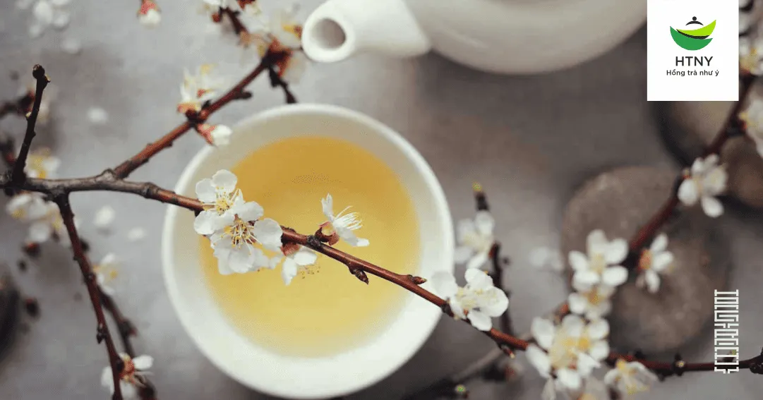 Nghi thức thưởng thức hương thơm bạch trà