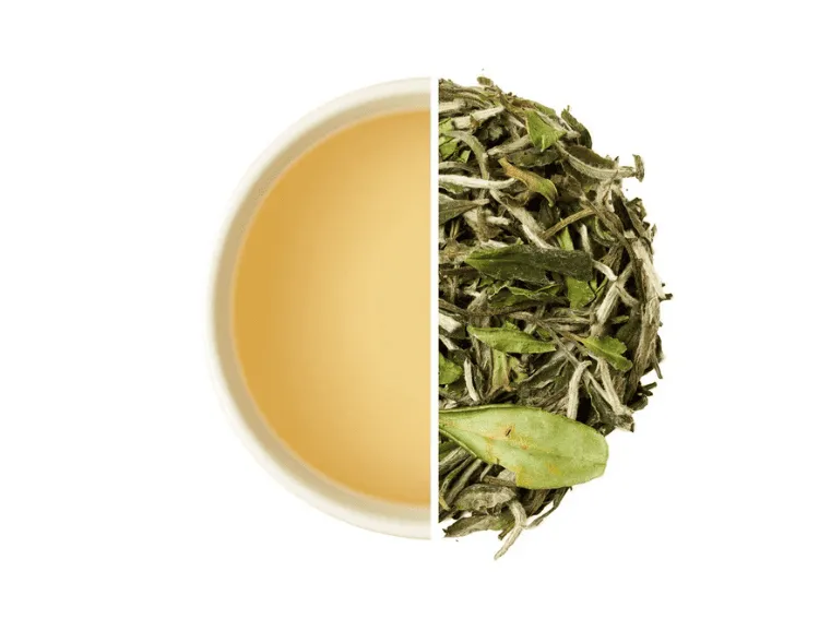 Bạch trà mẫu đơn
