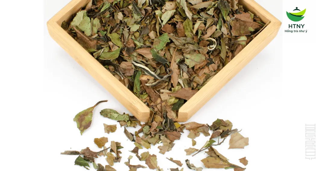 Các loại bạch trà chính từ cây Camellia sinensis