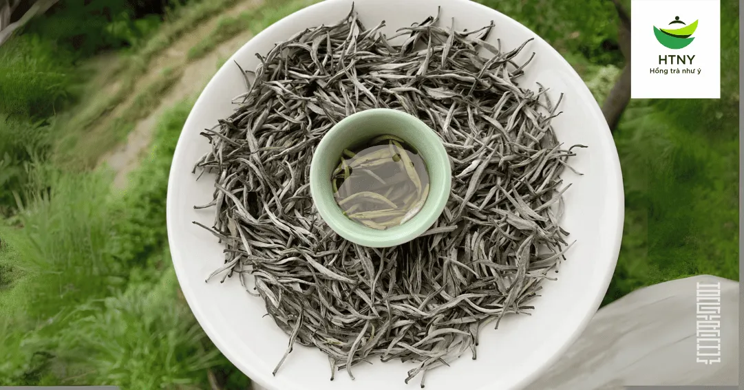 chè shan tuyết hà giang