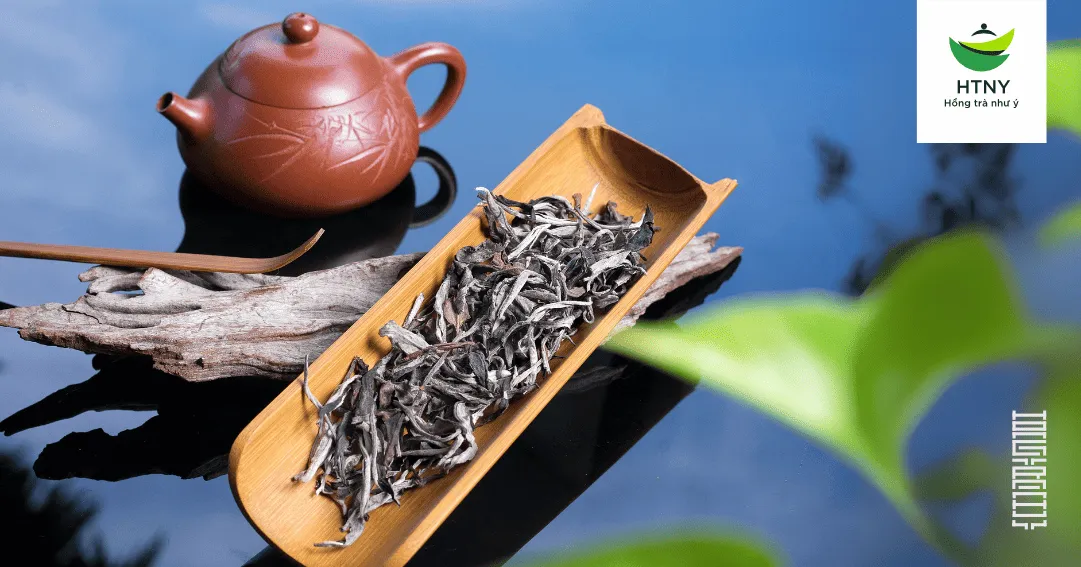 Công dụng của bạch trà đối với sức khỏe