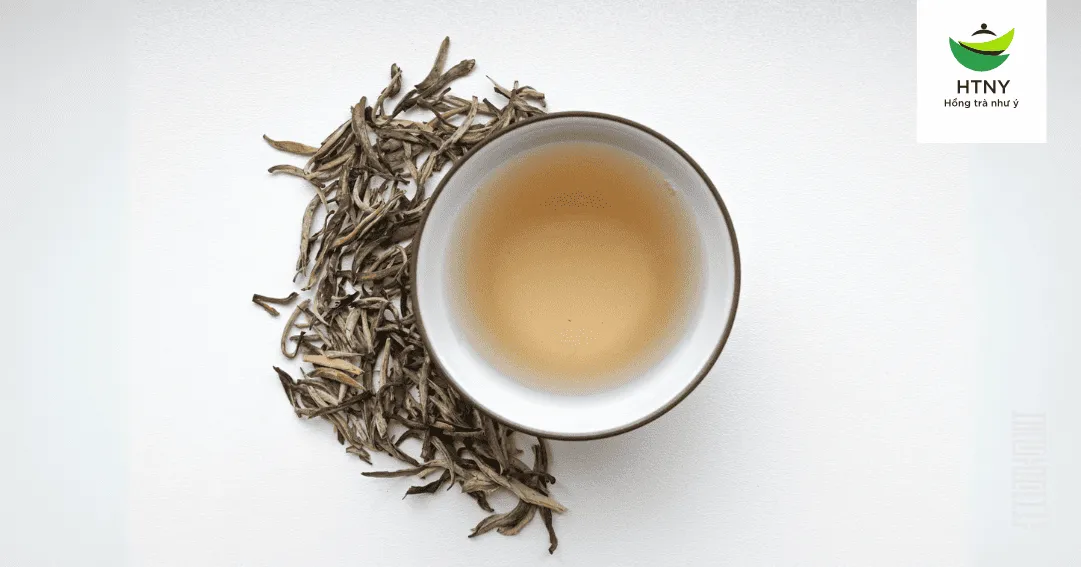 Cách nhận biết mùi bạch trà chất lượng