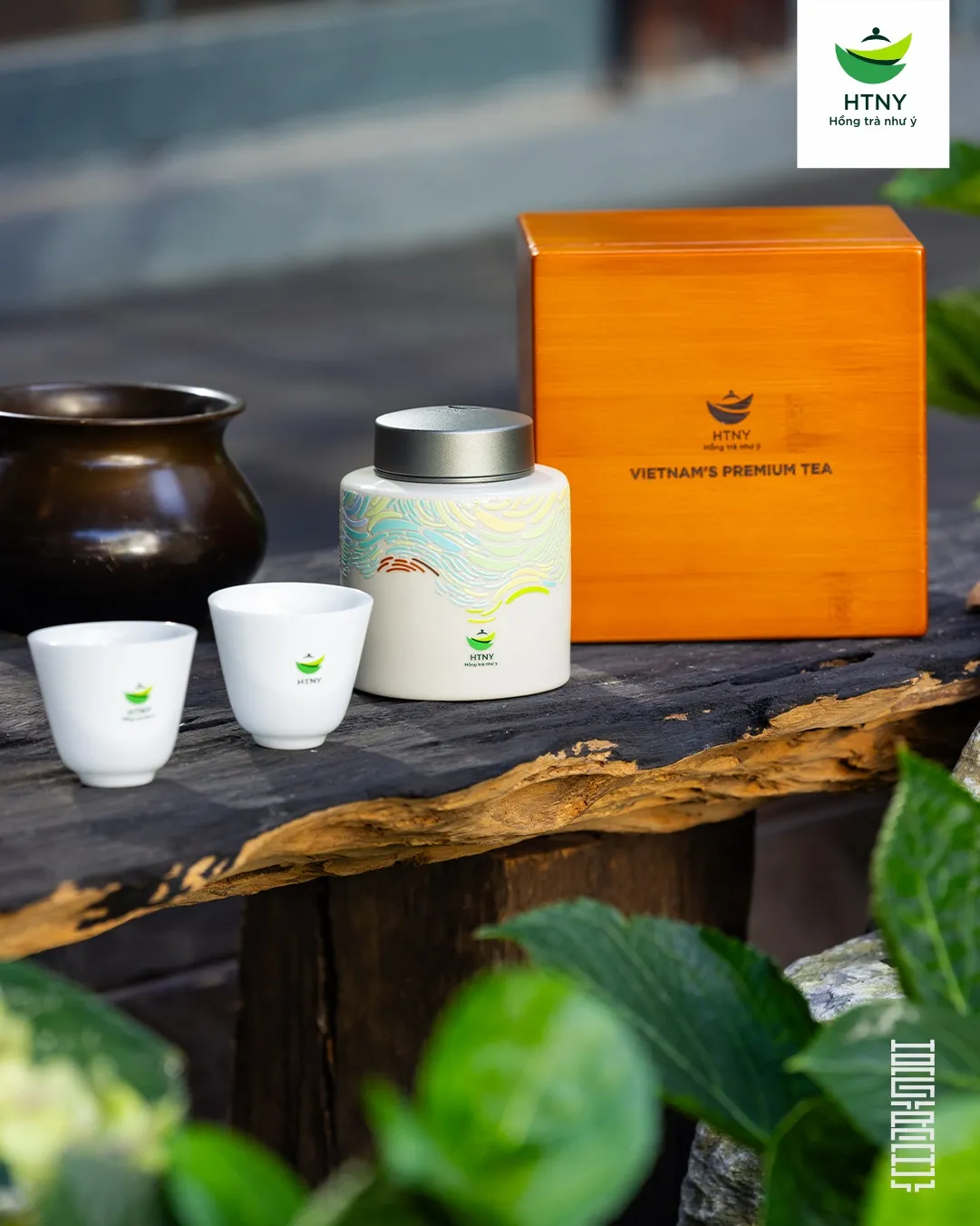 cách uống trà phổ nhĩ