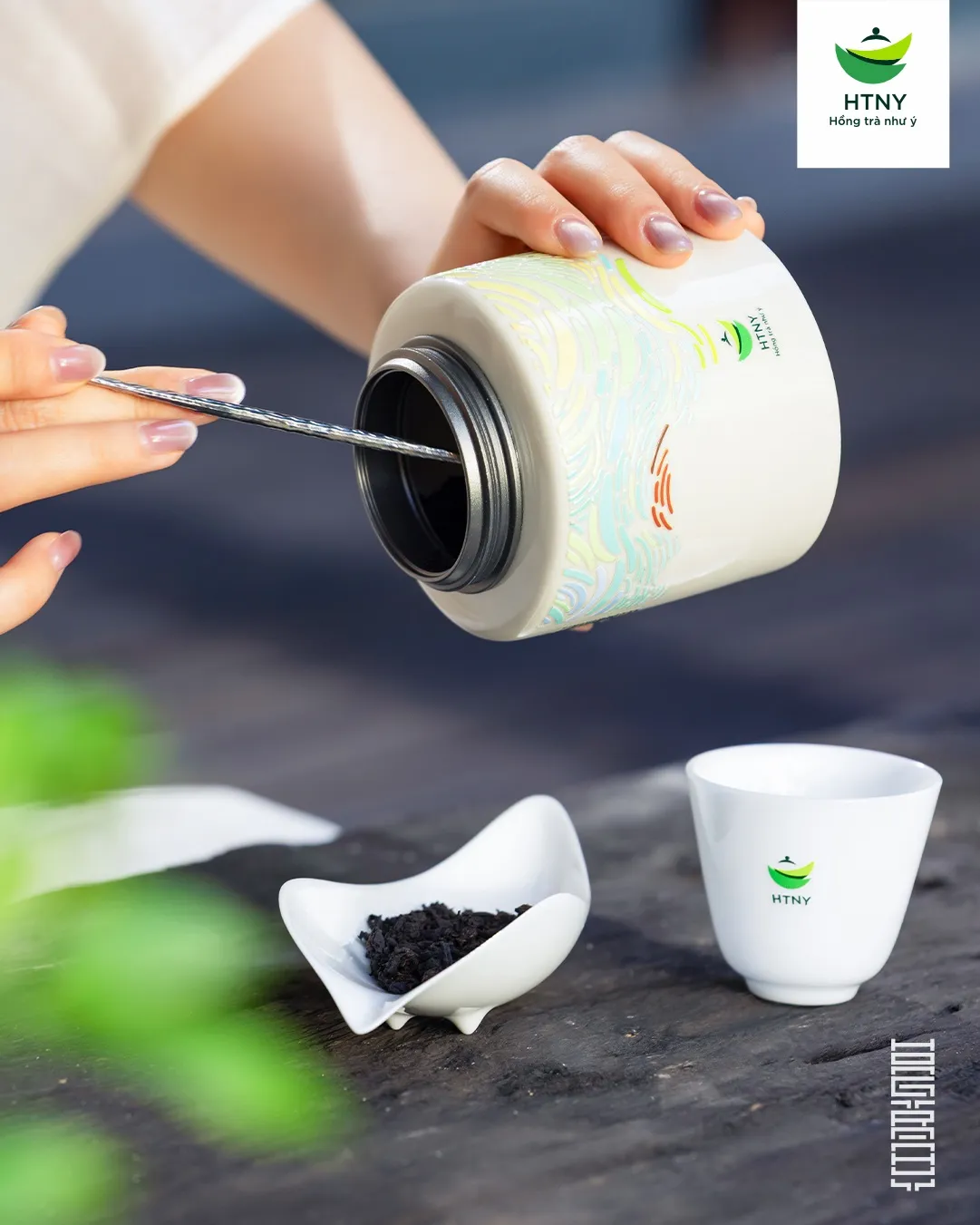 trà phổ nhĩ đắt nhất