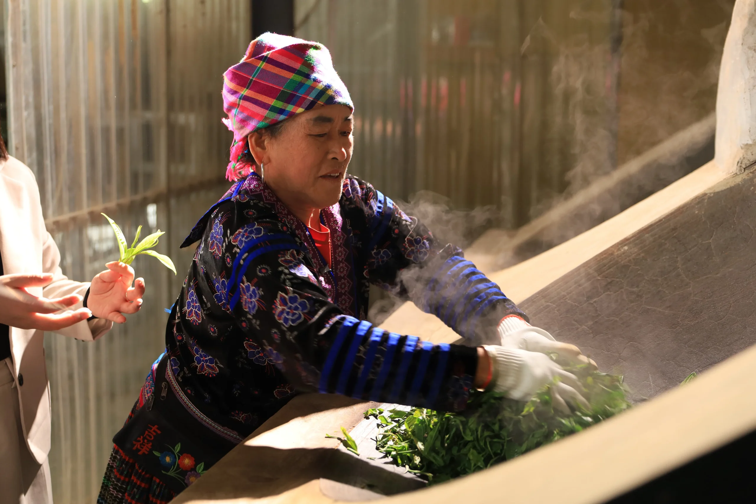 uống sâm dứa có tốt không