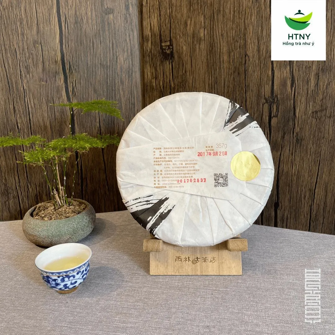 trà phổ nhĩ sống lão ban chương