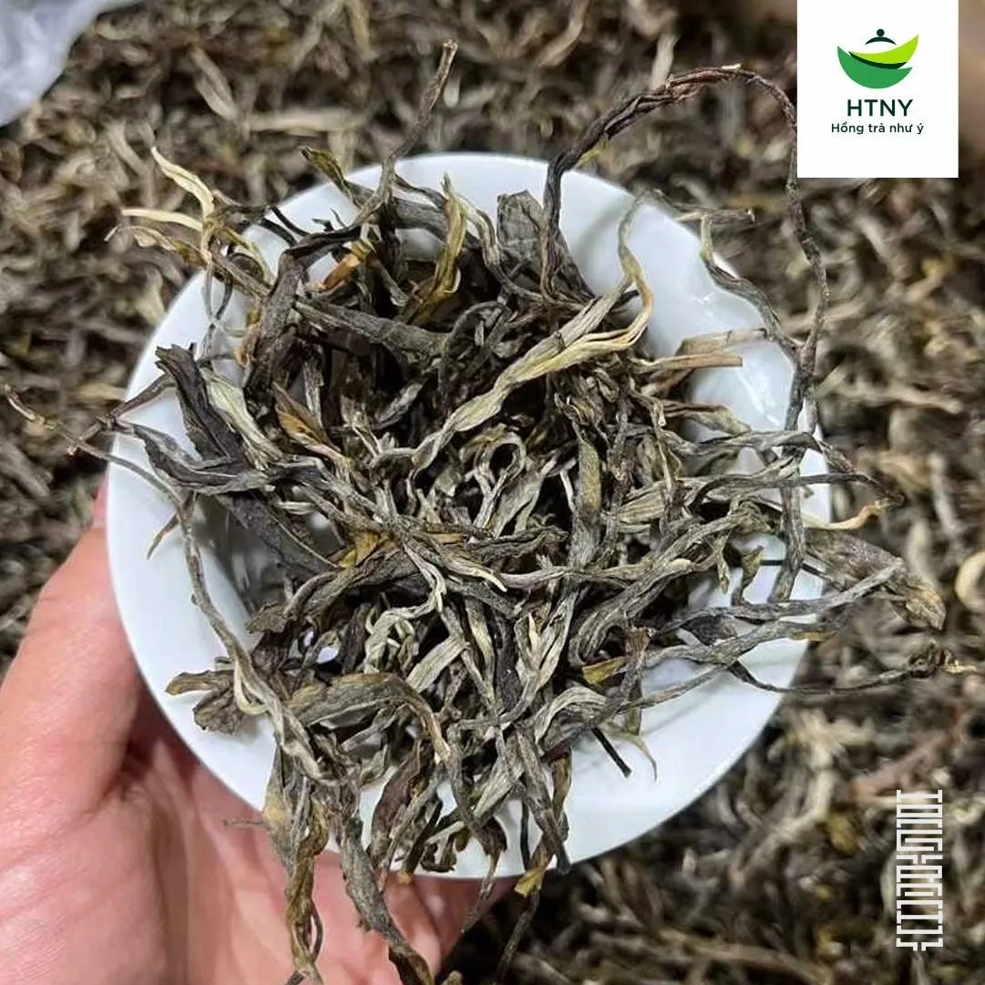 giá trà phổ nhĩ sống