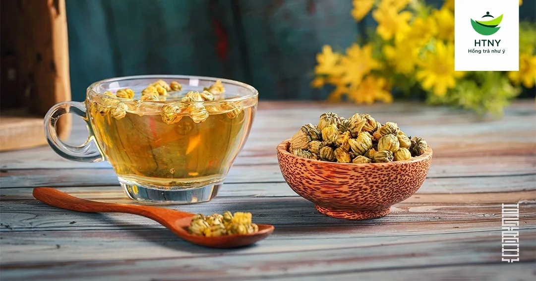 trà hoa cúc nhật bản