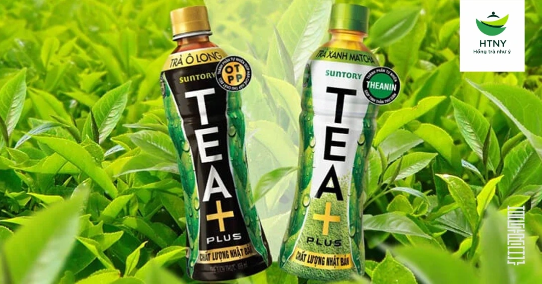 ô long tea plus