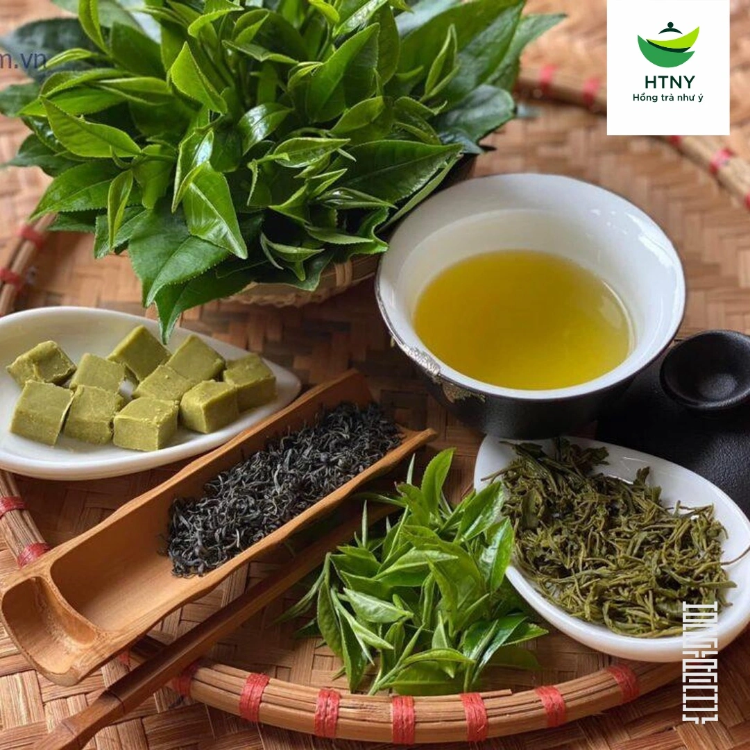 uống trà thái nguyên có tốt không